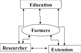 UTME Subject Combination For Agricultural Extension