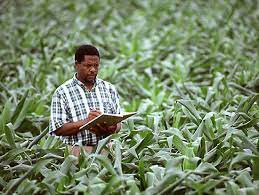 UTME Subject Combination For Agricultural Science And Education