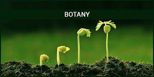 Subject Combination For Botany